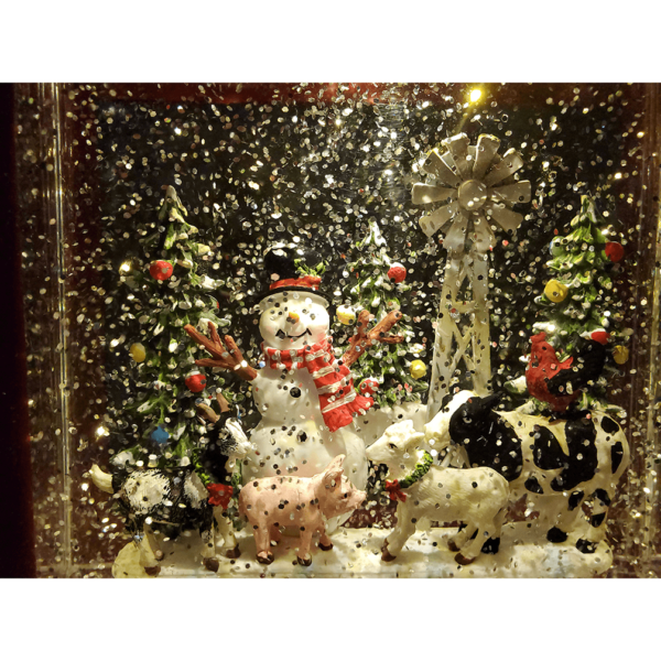 Nutcracker Ballet Water Globe Musical LED Theater