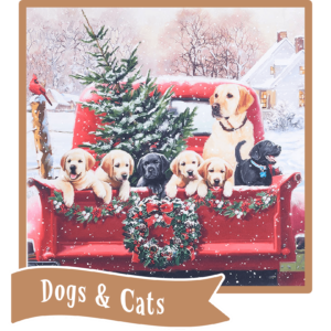 Dogs & Cats button